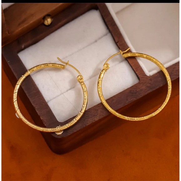 Round Planting Stainless Steel 18K gold plated‎ Hoop Earrings - Picture 2 of 3
